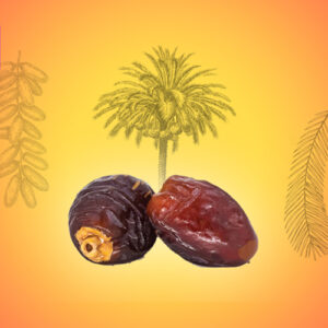 দাব্বাস খেজুর - Dabbas Khejur ( A- Grade) - Image 3